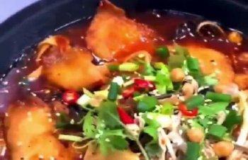 啵啵魚培訓