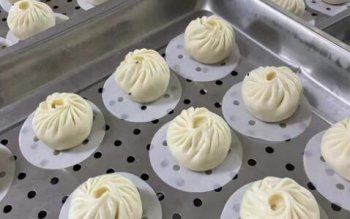包子培訓地址在哪裏