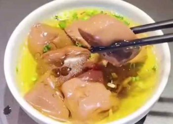 <b>龍脂豬血培訓地址在哪裏</b>